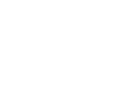 Free Shipping on orders more than $100